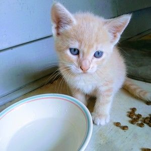 Meet your Posher, Magaidh